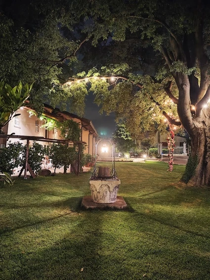 L’Arte Gentile del Verde: Workshop Botanici e Kokedama nelle campagne del Garda 7